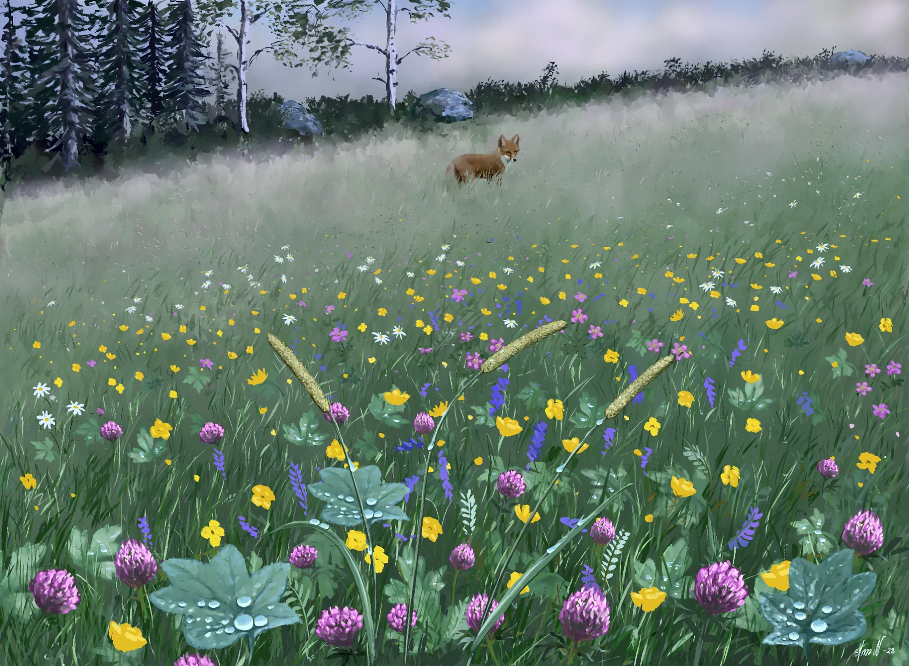 Midsommarnatt