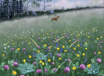 Midsommarnatt